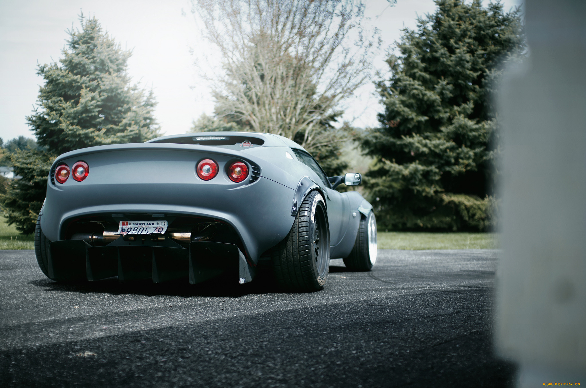 , lotus